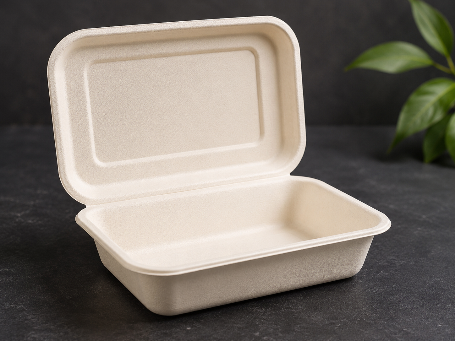 Food Containers